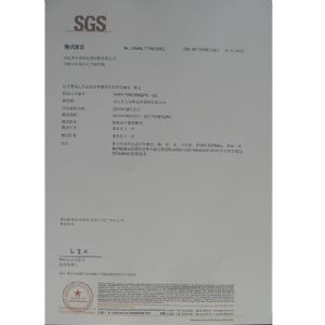 SGS報告
